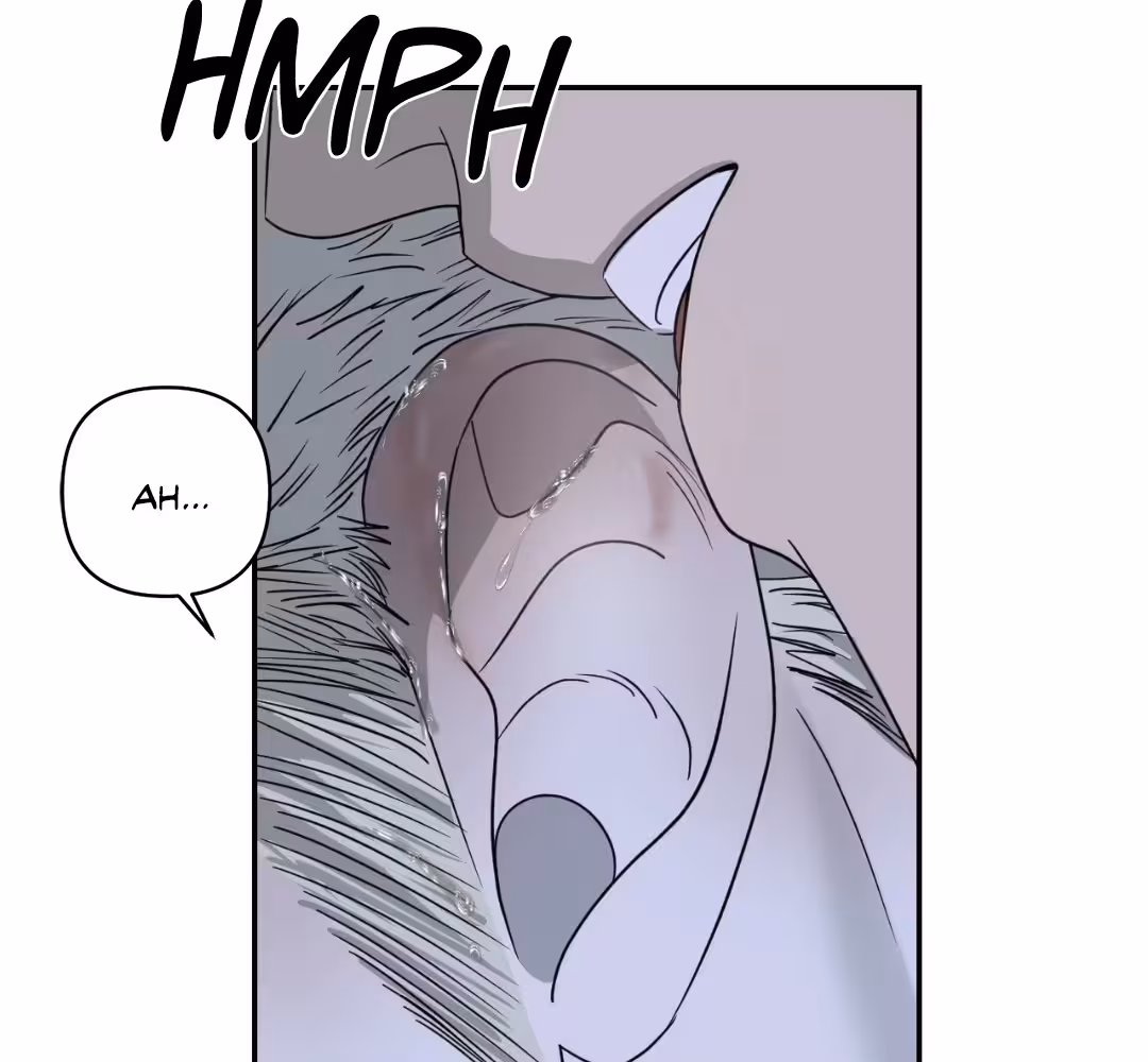 Shutline Chapitre 18 page 78