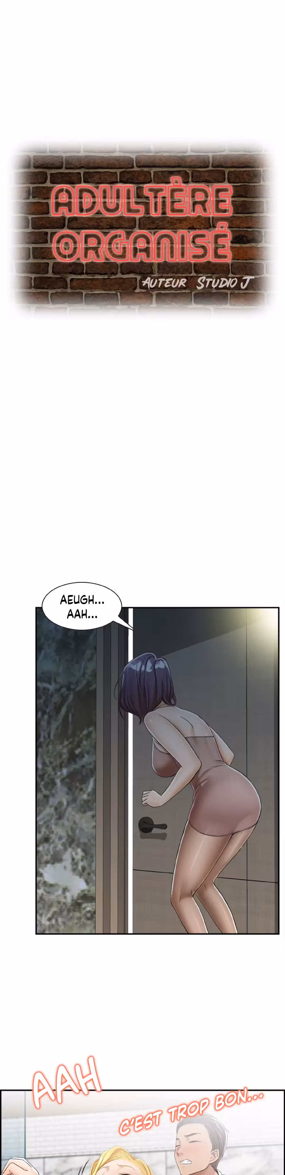 Adultère organisé Chapitre 15 page 1